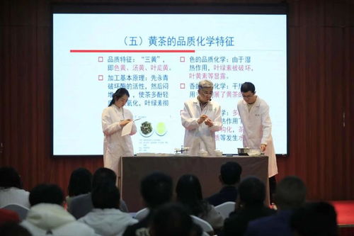 非遗活态传承新篇章 黔北黄茶技艺选定黔东南代言人，推动茶文化深度交流